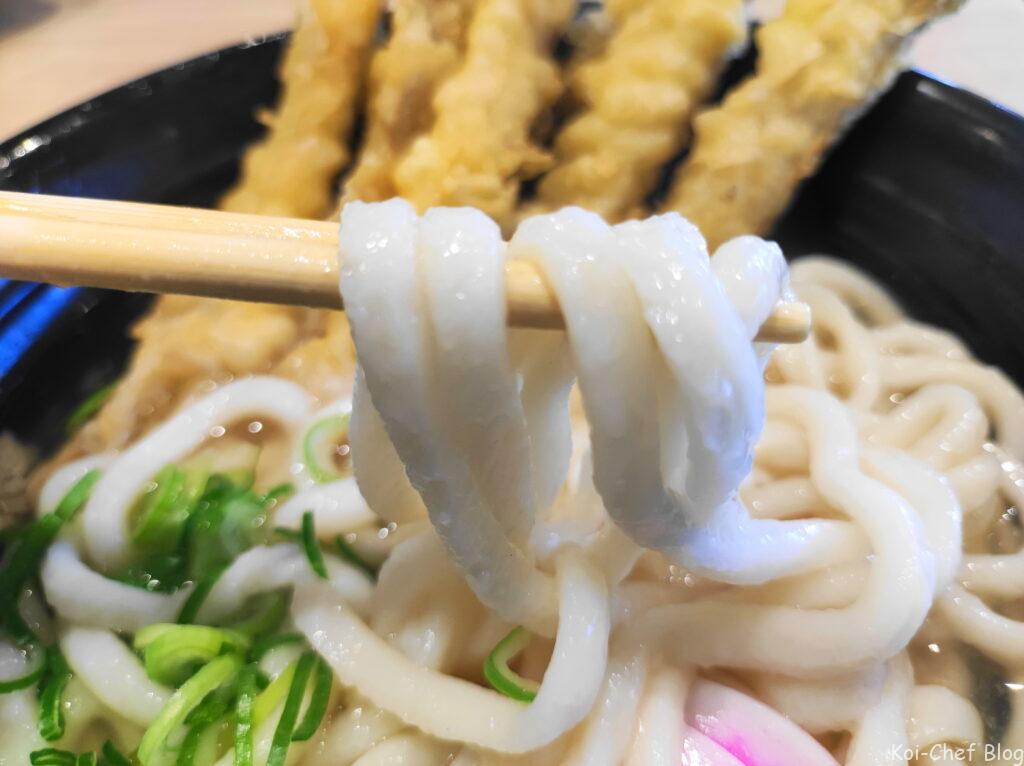 ごぼ天うどん